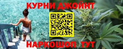 гидра Можайск