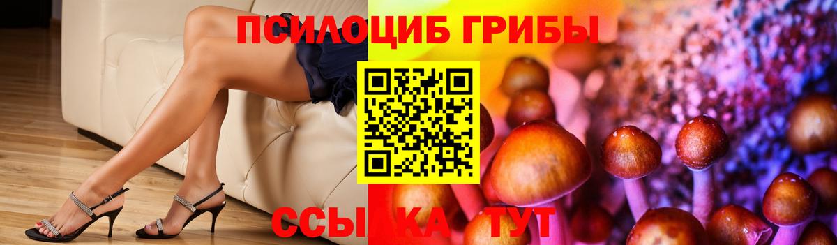 Галлюциногенные грибы ЛСД  Вход с VPN  Псилоцибиновые грибы MAGIC MUSHROOMS  Чебоксары 